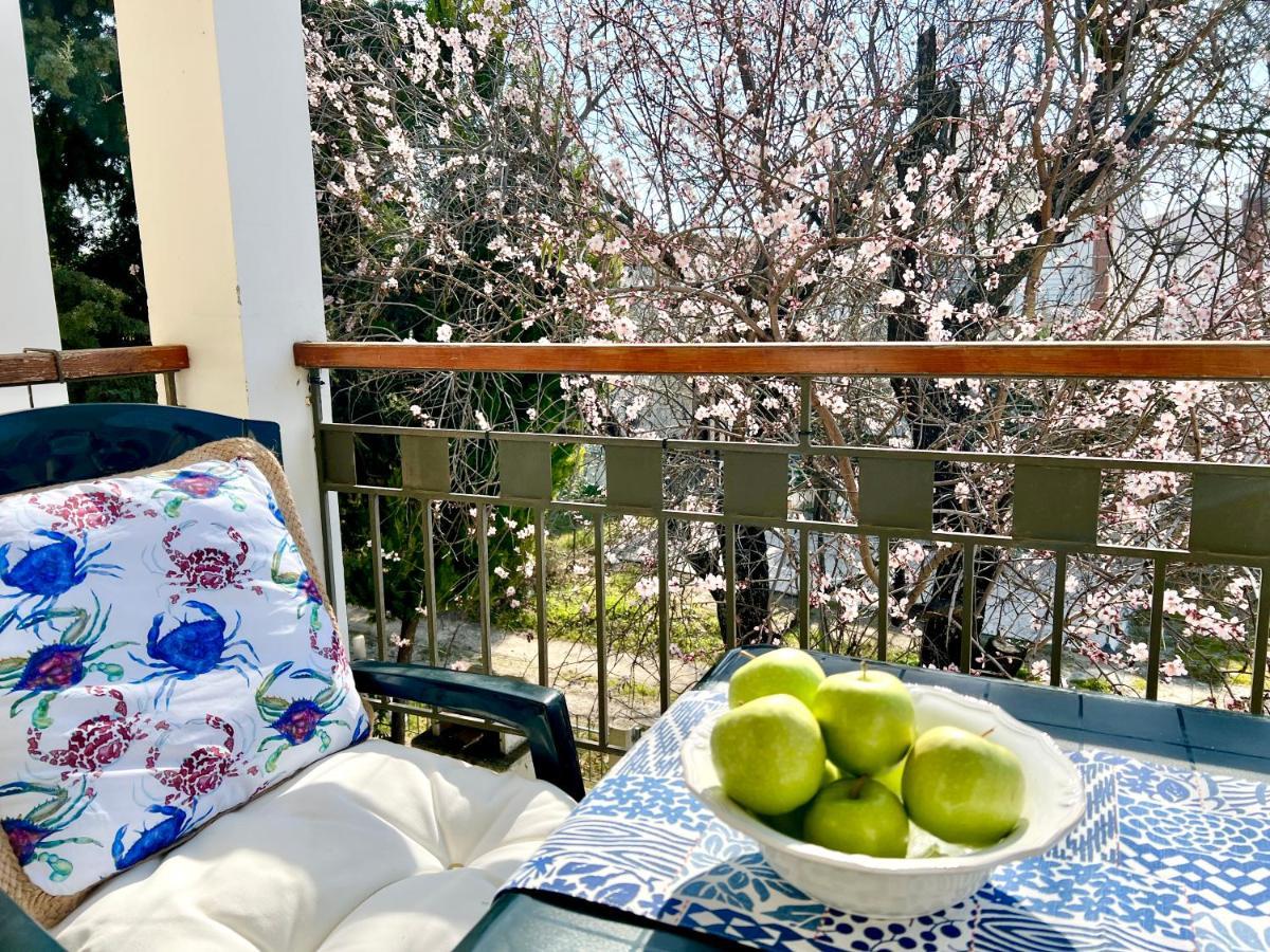 Nikiti Beach Houses מראה חיצוני תמונה